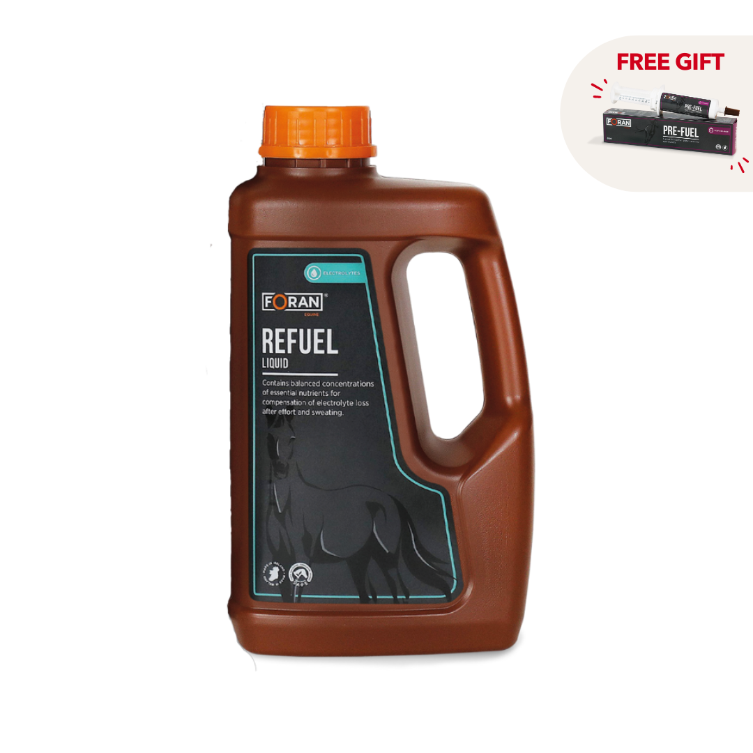 Foran Equine Refuel Liquid