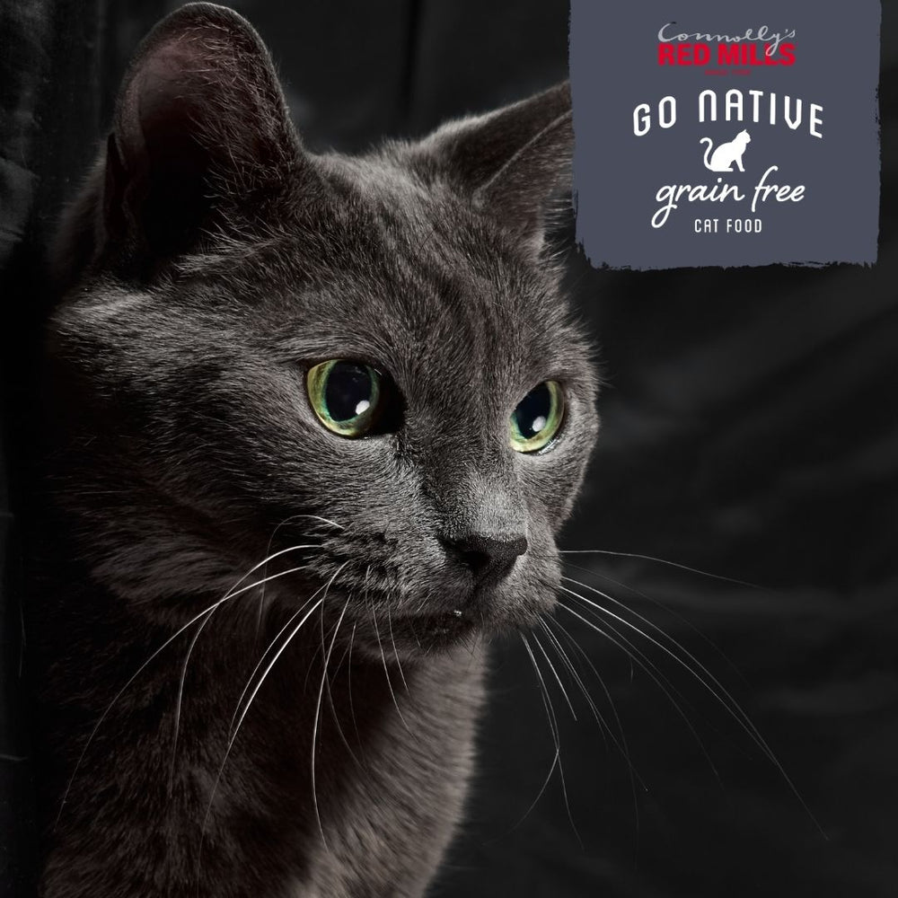 Go Native Cat