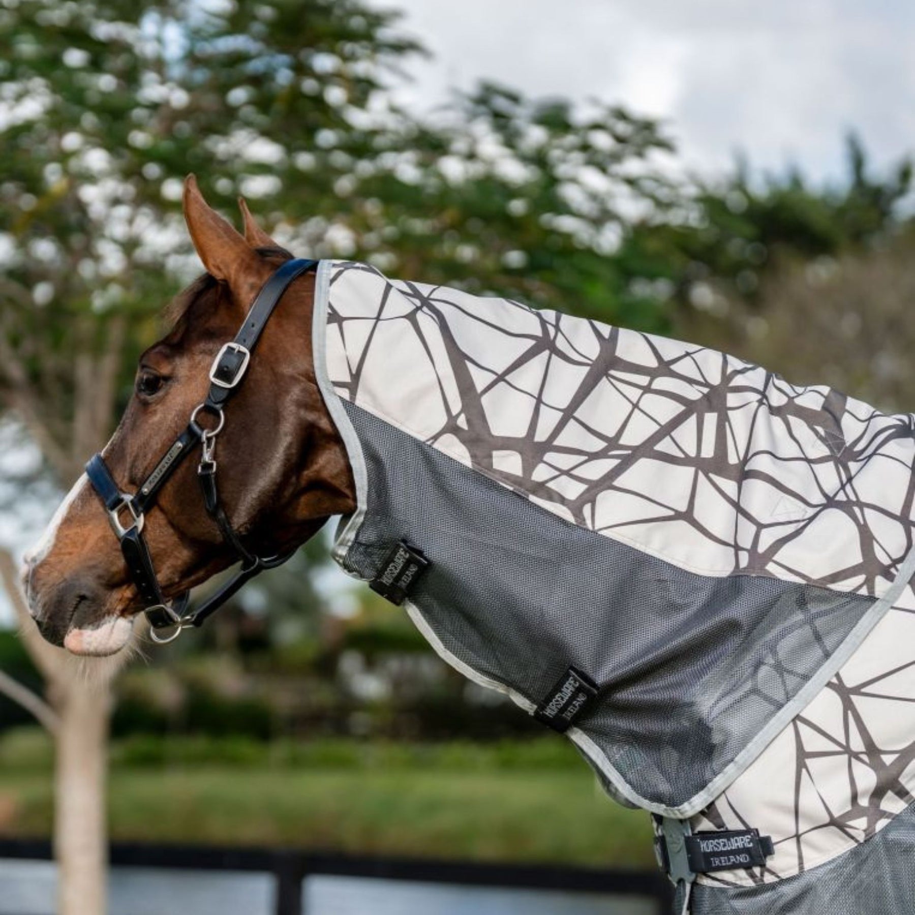 Horseware Amigo 3-in-1 CamoFly Plus Fly Sheet in Grey (Fly Rug + Turnout Rug)