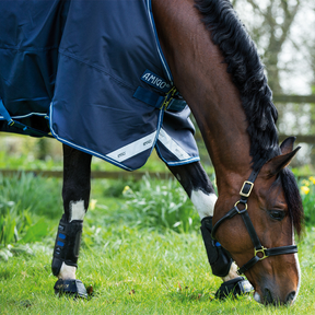 Horseware Amigo Bravo 12 Original Light Turnout Rug in Navy (0g)