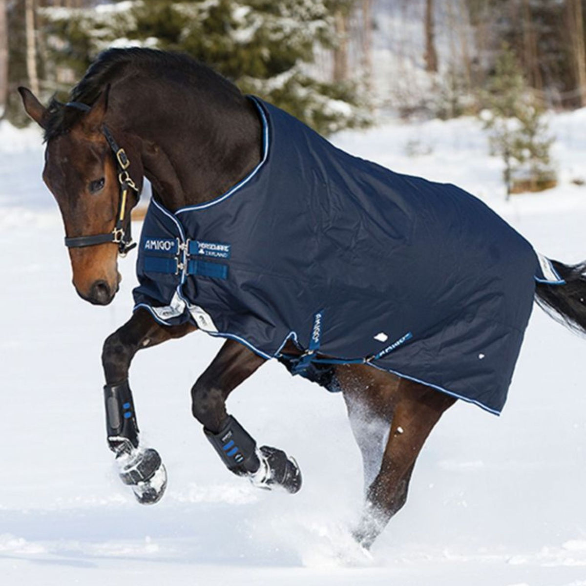 Horseware Amigo Bravo 12 Plus Heavy Turnout Rug in Navy & Blue (400g)