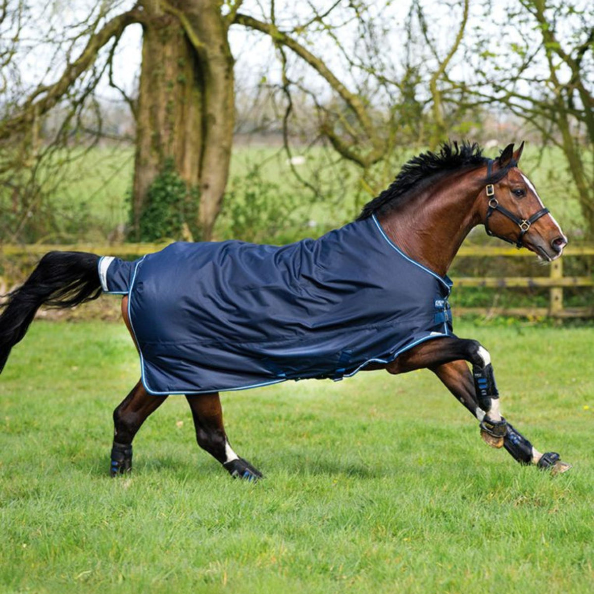 Horseware Amigo Bravo 12 Plus Heavy Turnout Rug in Navy & Blue (400g)