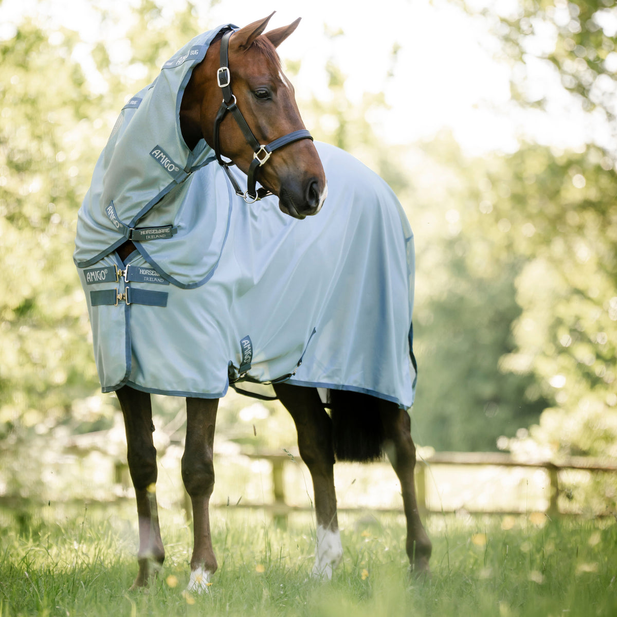 Horseware Amigo Bug Rug Plus Fly Sheet in Heather Blue & Silver