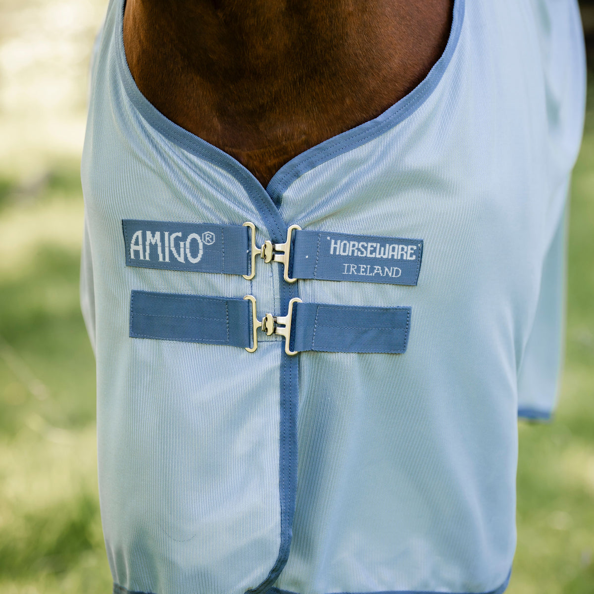Horseware Amigo Bug Rug Plus Fly Sheet in Heather Blue & Silver