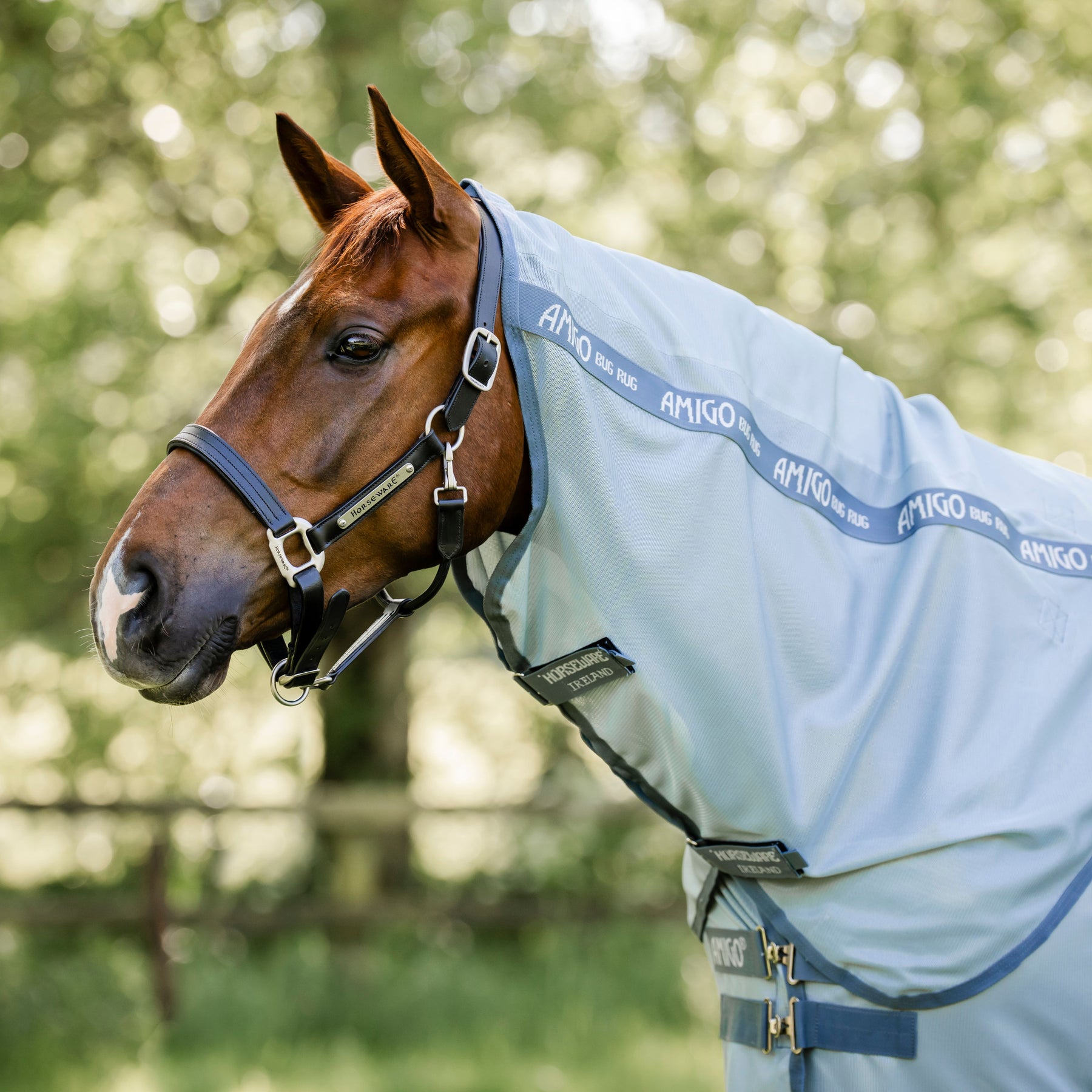 Horseware Amigo Bug Rug Plus Fly Sheet in Heather Blue & Silver