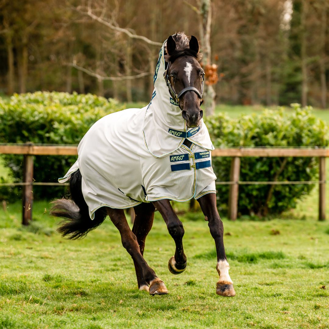 Horseware Amigo Bug Rug in Lunar Rock, Navy & Lime