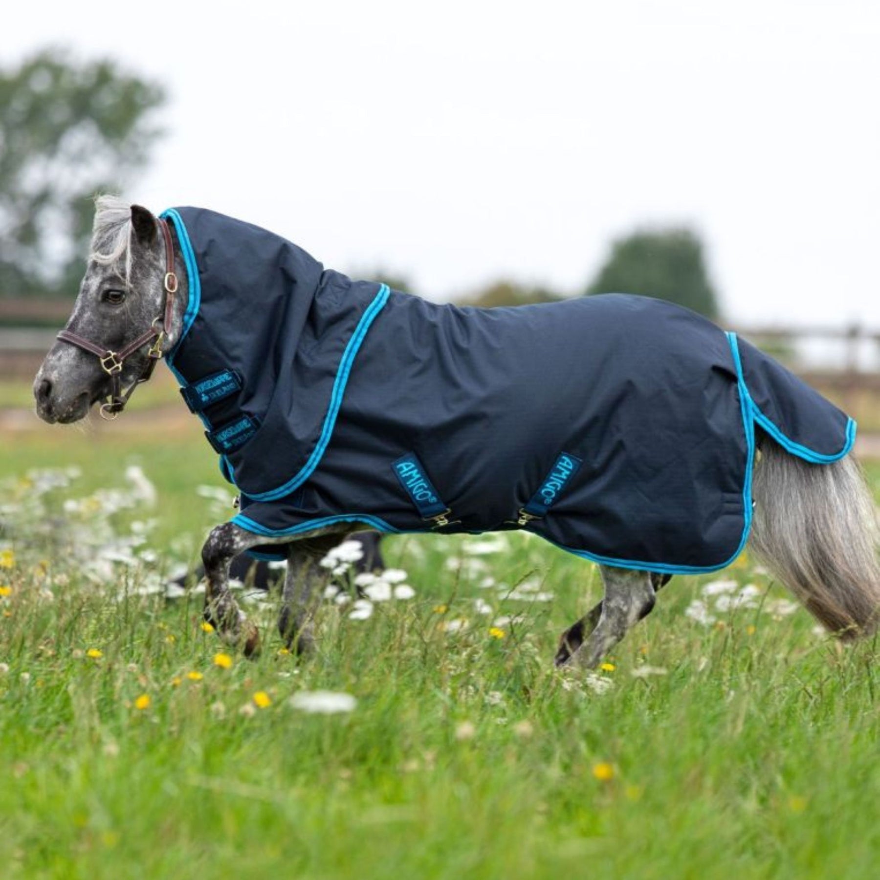 Horseware Amigo Hero 6 Ripstop Petite Plus Medium Turnout Rug in Navy & Electric Blue (200g)