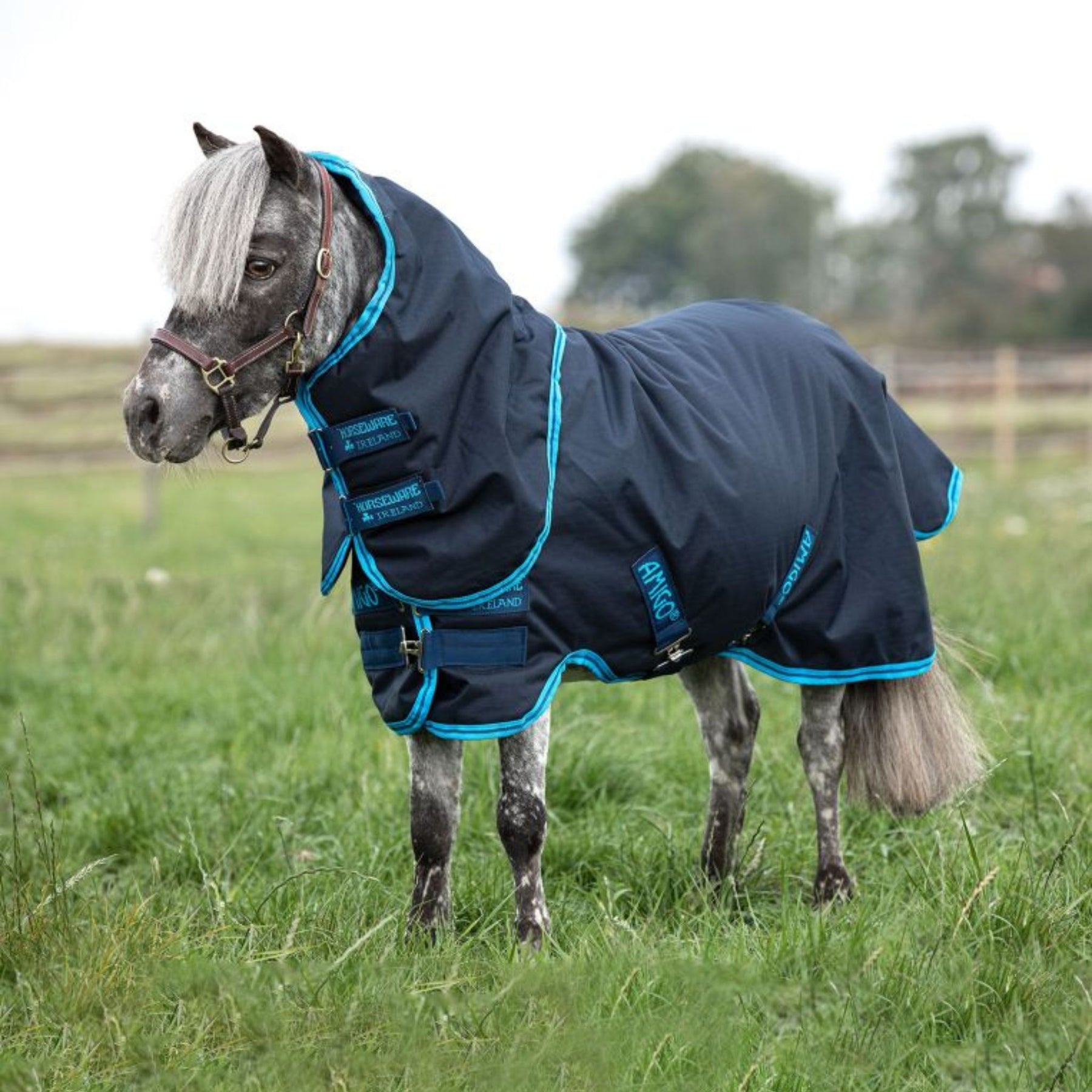 Horseware Amigo Hero 6 Ripstop Petite Plus Medium Turnout Rug in Navy & Electric Blue (200g)