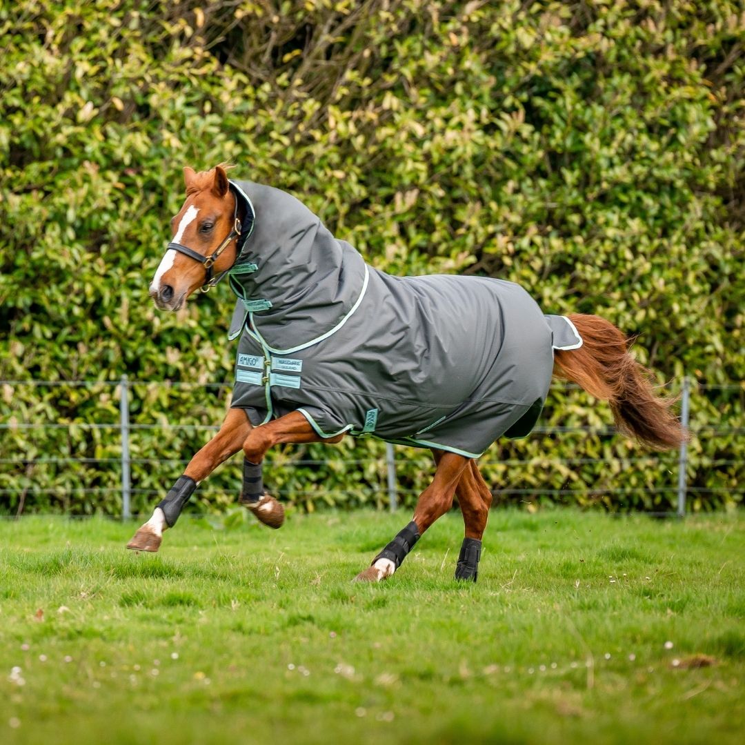 Horseware Amigo Hero Ripstop Plus Pony Medium Turnout Rug in Shadow, Blue Haze & Navy (200g)