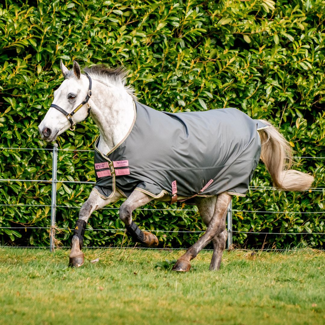 Horseware Amigo Hero Ripstop Turnout Lite Rug in Shadow, Rose & Navy (0g)