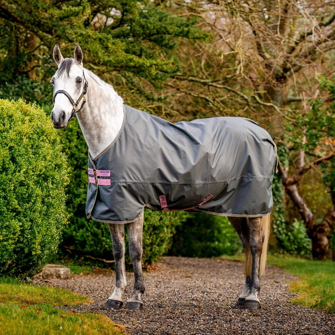 Horseware Amigo Hero Ripstop Turnout Lite Rug in Shadow, Rose & Navy (0g)