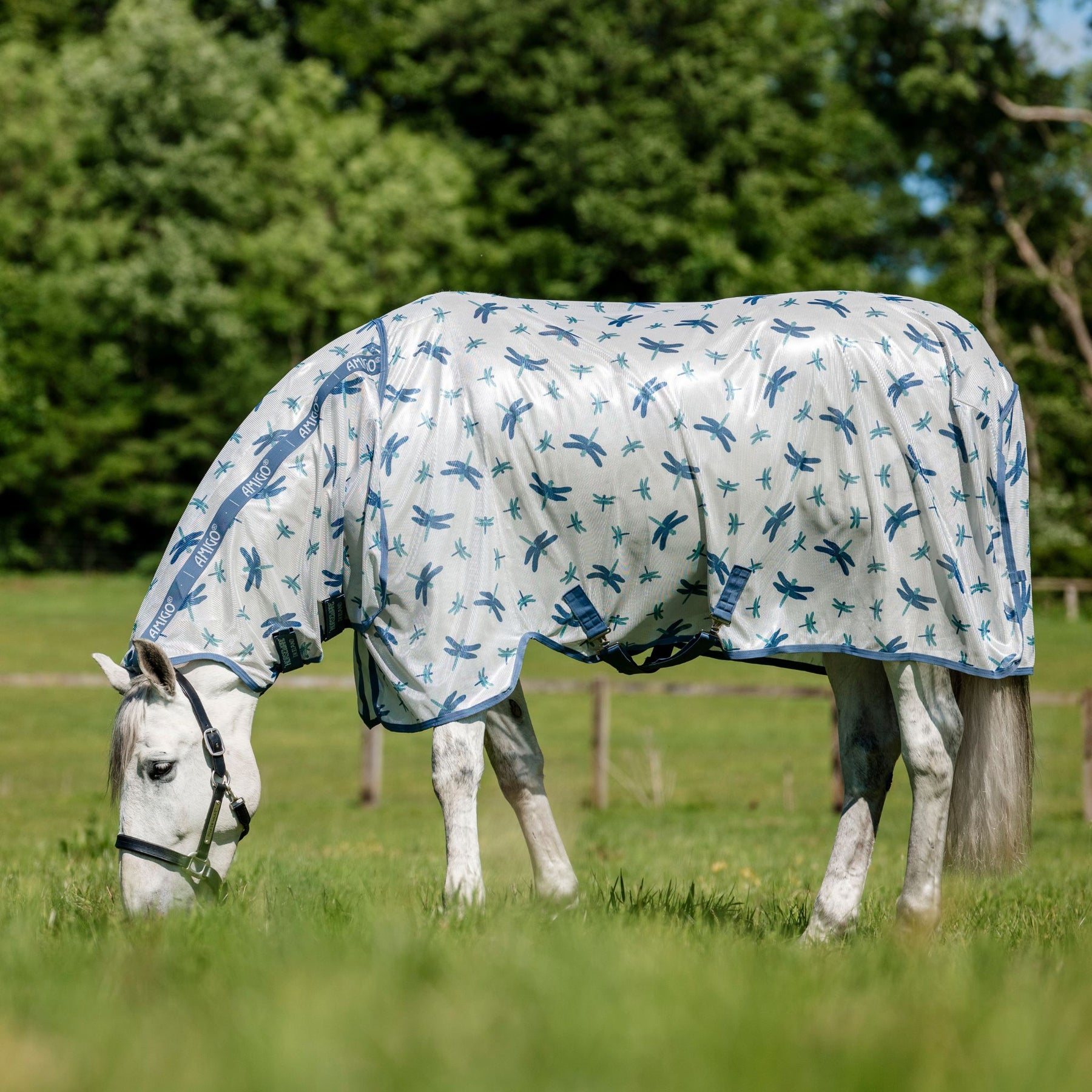 Horseware Amigo Integrated Fly Sheet in Dragonfly Print/Silver, Blue & Sage