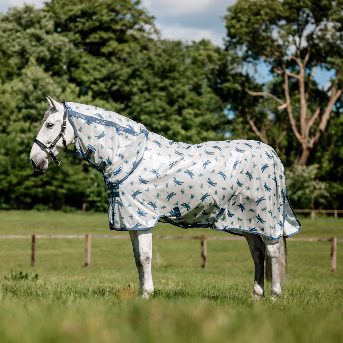 Horseware Amigo Integrated Fly Sheet in Dragonfly Print/Silver, Blue & Sage