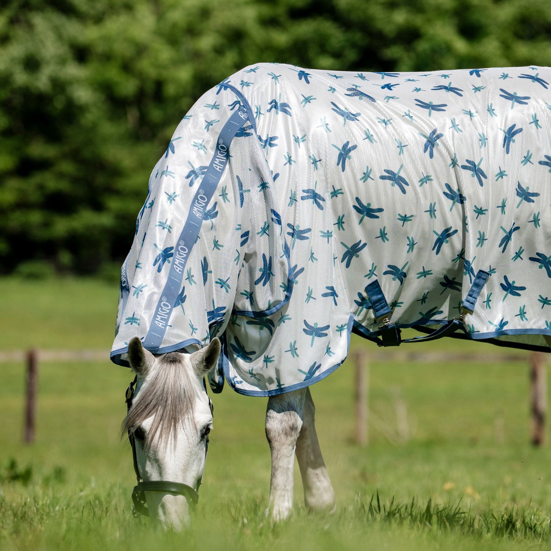 Horseware Amigo Integrated Fly Sheet in Dragonfly Print/Silver, Blue & Sage