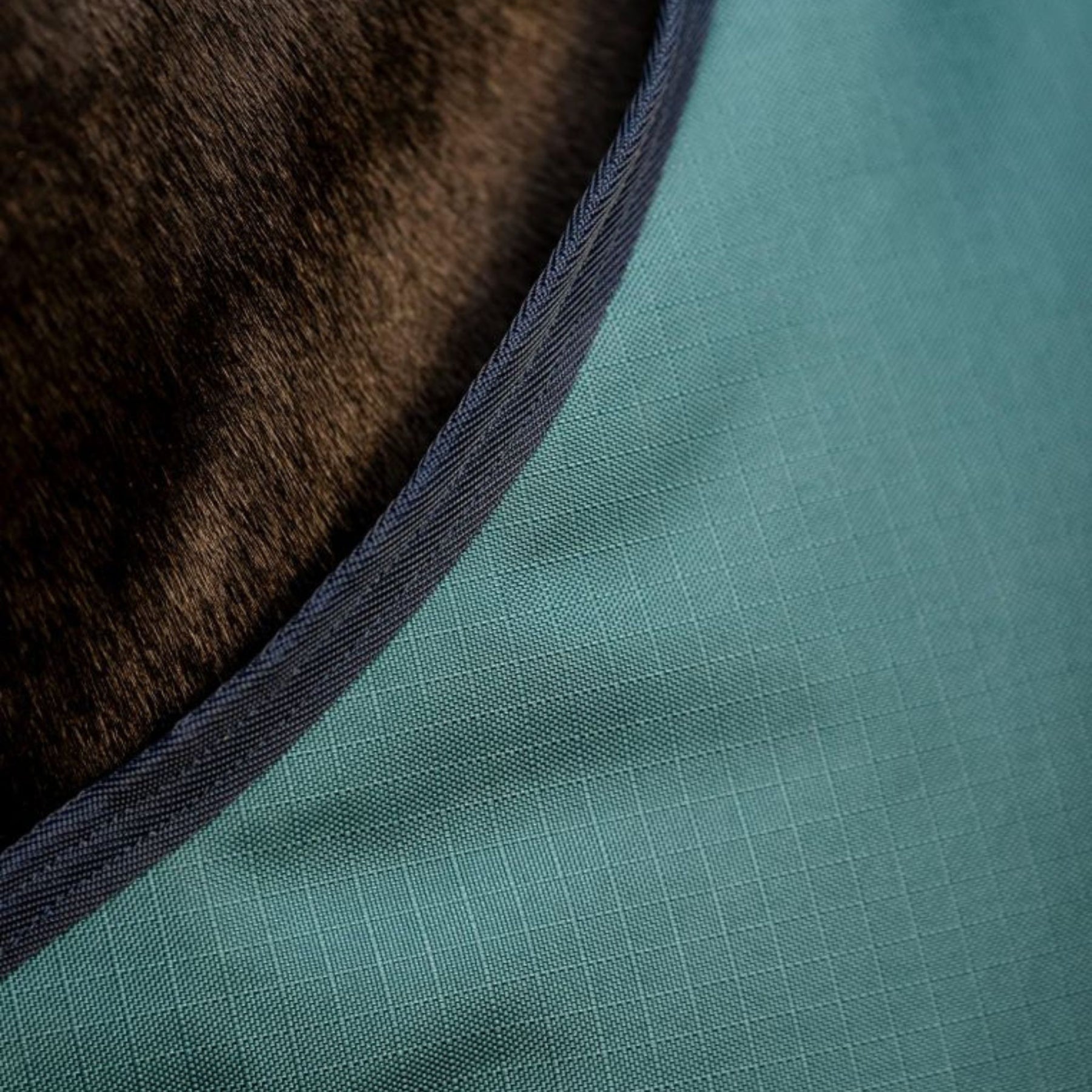 Horseware Amigo Ripstop 900D Light Turnout Rug in Dynasty Green (0g)