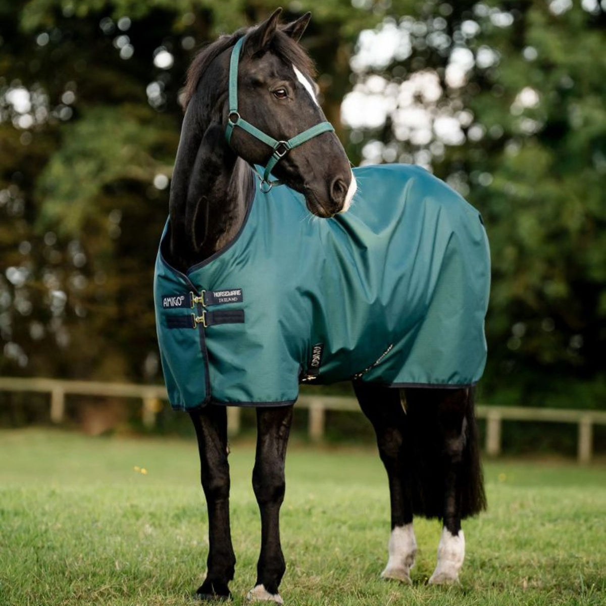 Horseware Amigo Ripstop 900D Light Turnout Rug in Dynasty Green (100g)