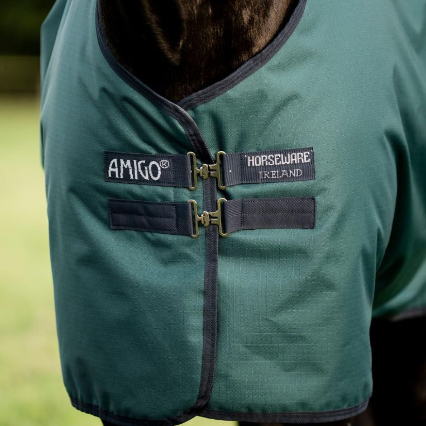 Horseware Amigo Ripstop 900D Light Turnout Rug in Dynasty Green (100g)