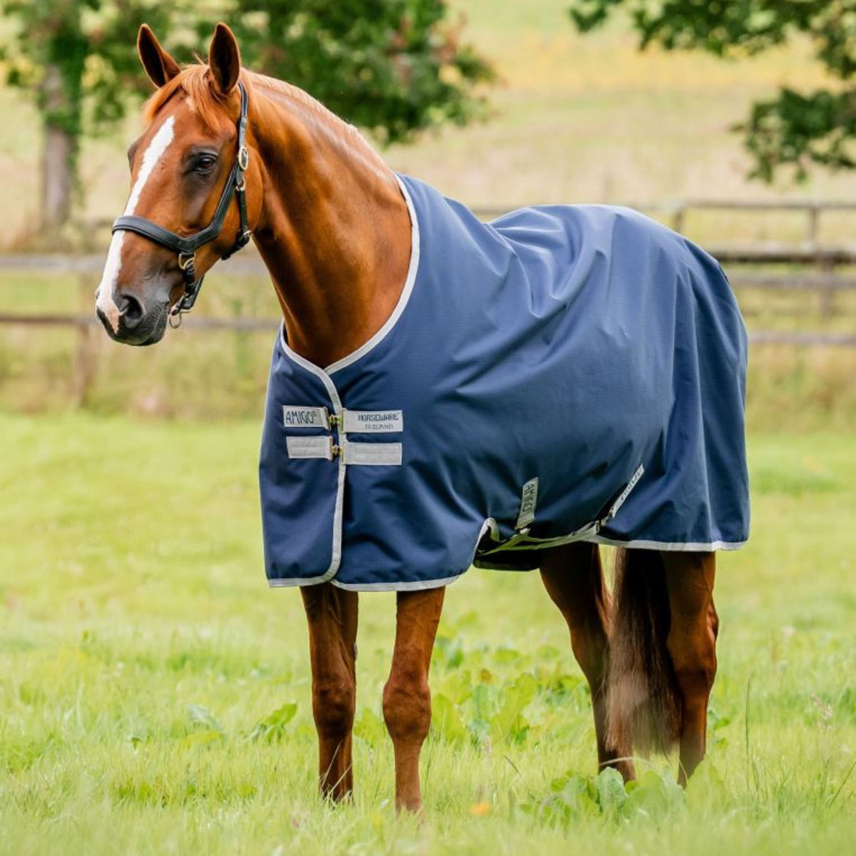 Horseware Amigo Ripstop 900D Light Turnout Rug in Navy & Titanium Grey (50g)