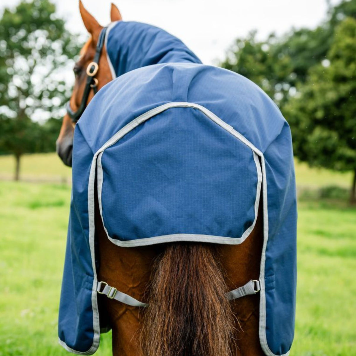 Horseware Amigo Ripstop 900D Light Turnout Rug in Navy & Titanium Grey (50g)