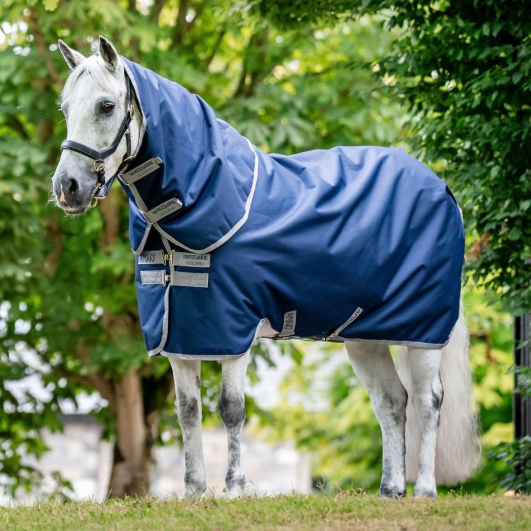 Horseware Amigo Ripstop 900D Plus Light Turnout Rug in Navy & Titanium Grey (100g)