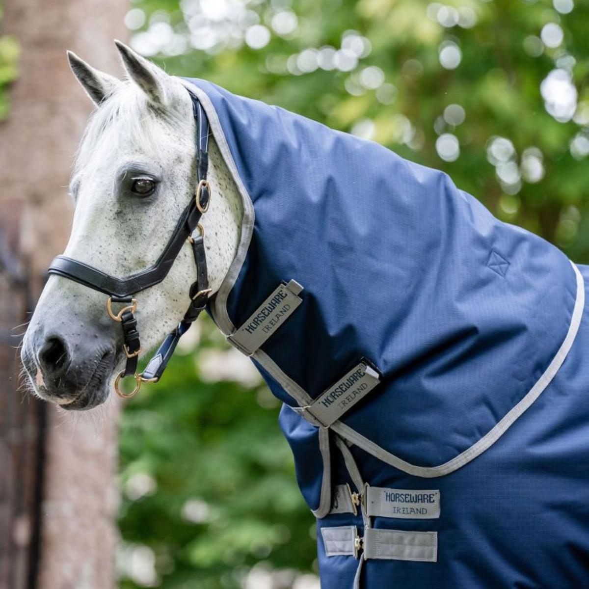 Horseware Amigo Ripstop 900D Plus Light Turnout Rug in Navy & Titanium Grey (100g)