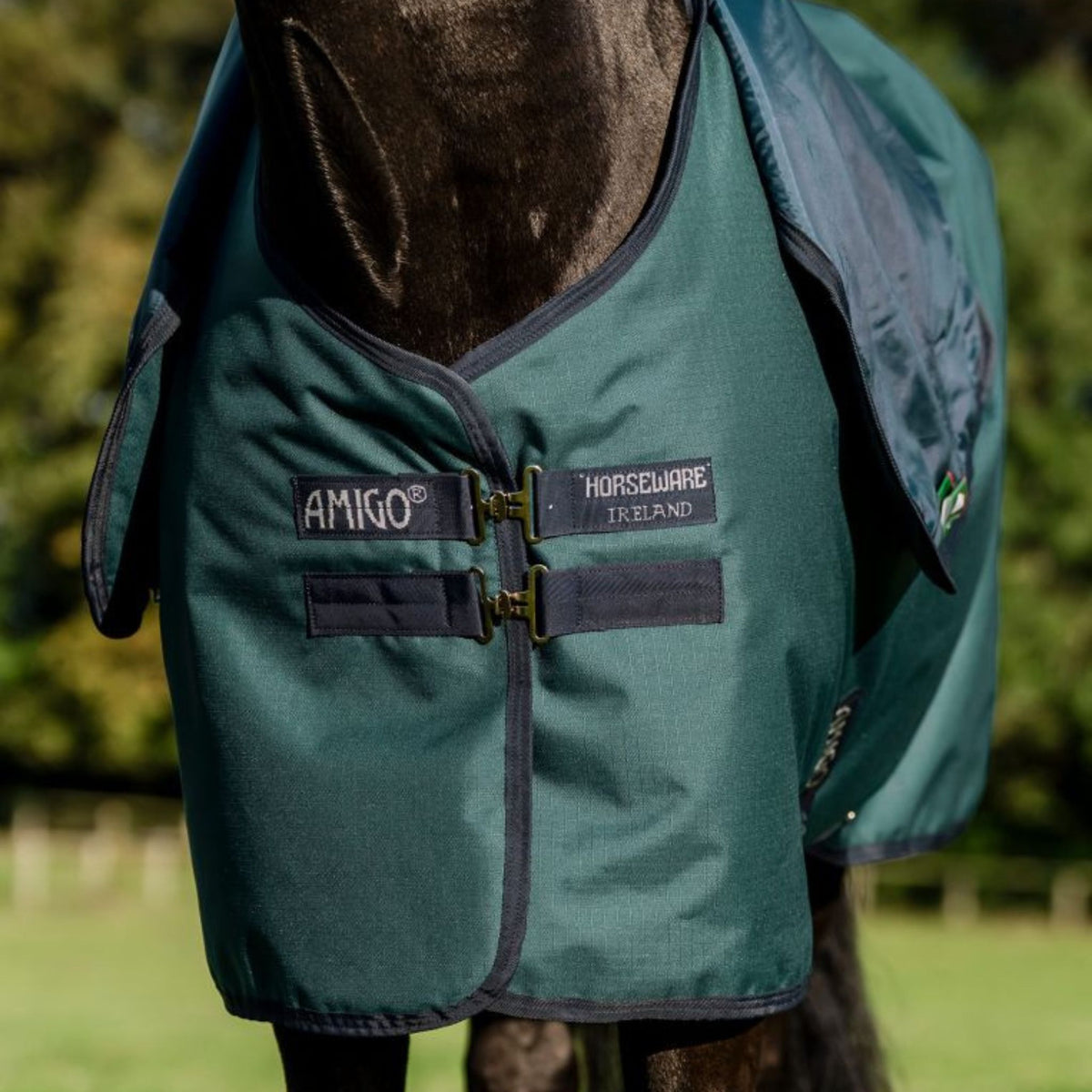 Horseware Amigo Ripstop 900D Plus Medium Turnout Rug in Dynasty Green (200g)