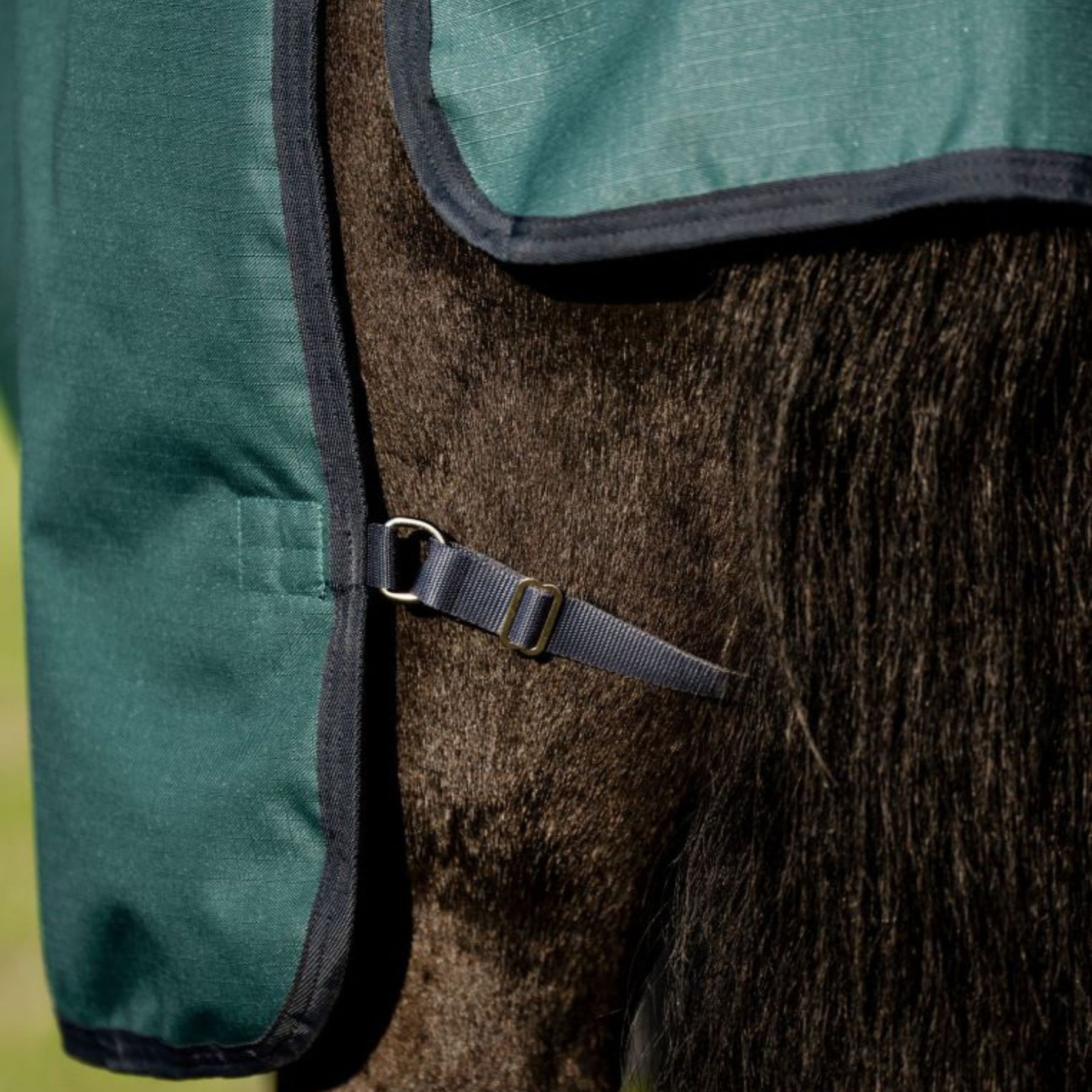 Horseware Amigo Ripstop 900D Plus Medium Turnout Rug in Dynasty Green (200g)