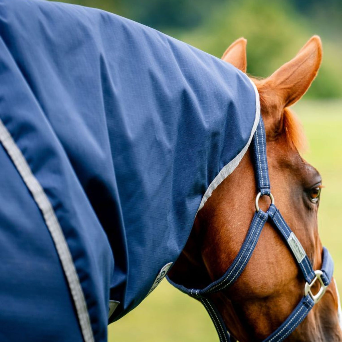 Horseware Amigo Ripstop 900D Plus Medium Turnout Rug in Navy & Titanium Grey (200g)