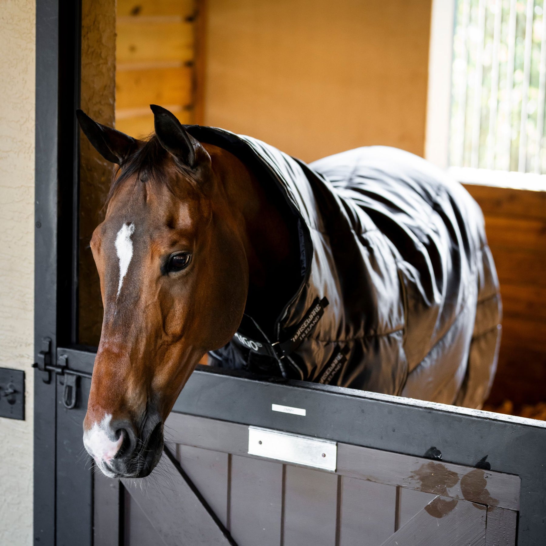 Horseware Amigo Ripstop Insulator Plus Heavy Stable Rug in Black & Titanium Grey (350g)