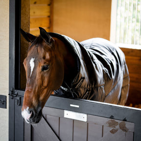 Horseware Amigo Ripstop Insulator Plus Heavy Stable Rug in Black & Titanium Grey (350g)