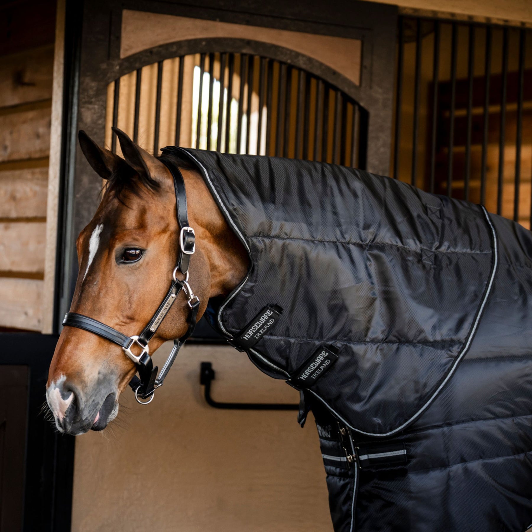 Horseware Amigo Ripstop Insulator Plus Heavy Stable Rug in Black & Titanium Grey (350g)