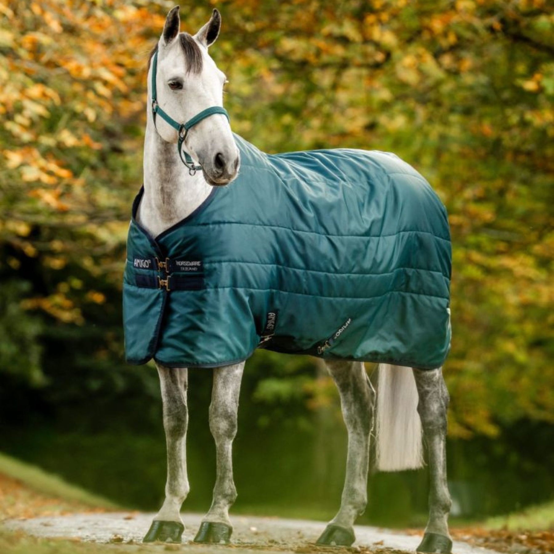 Horseware Amigo Ripstop Insulator Stable Light Rug in Dynasty Green (50g)