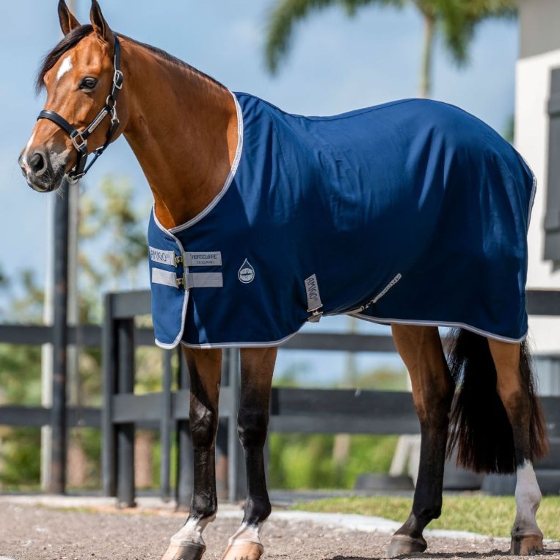 Horseware Amigo Stable Sheet Rug in Navy & Titanium Grey