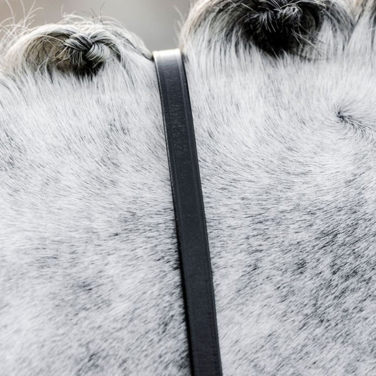 Horseware Curb Reins in Black