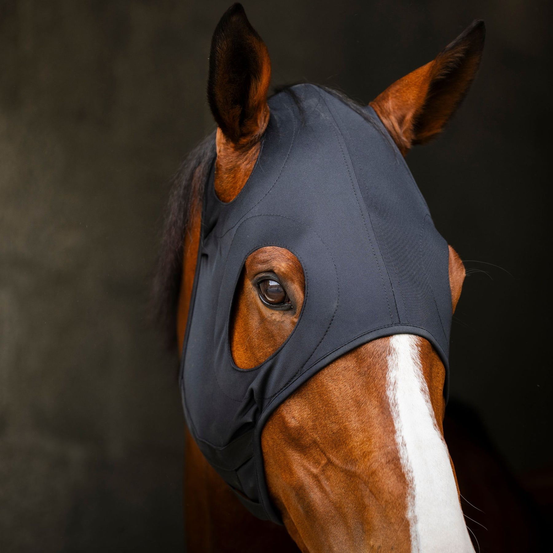 Horseware Iconic Calming Face Mask in Black