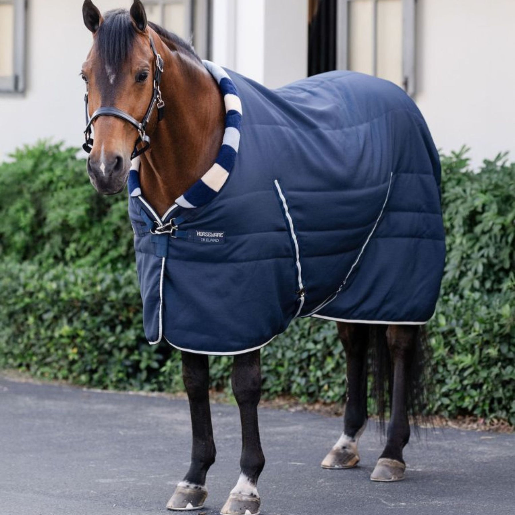 Horseware Newmarket Cosy Light Stable Rug in Whitney Navy (100g)