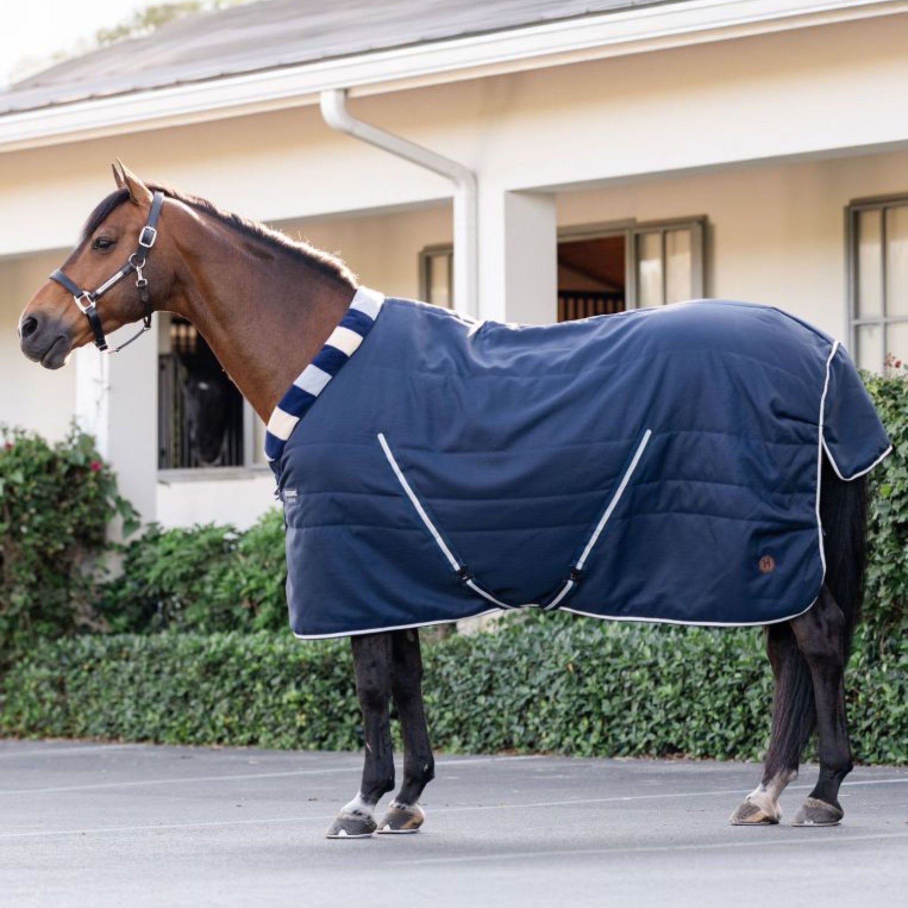 Horseware Newmarket Cosy Light Stable Rug in Whitney Navy (100g)