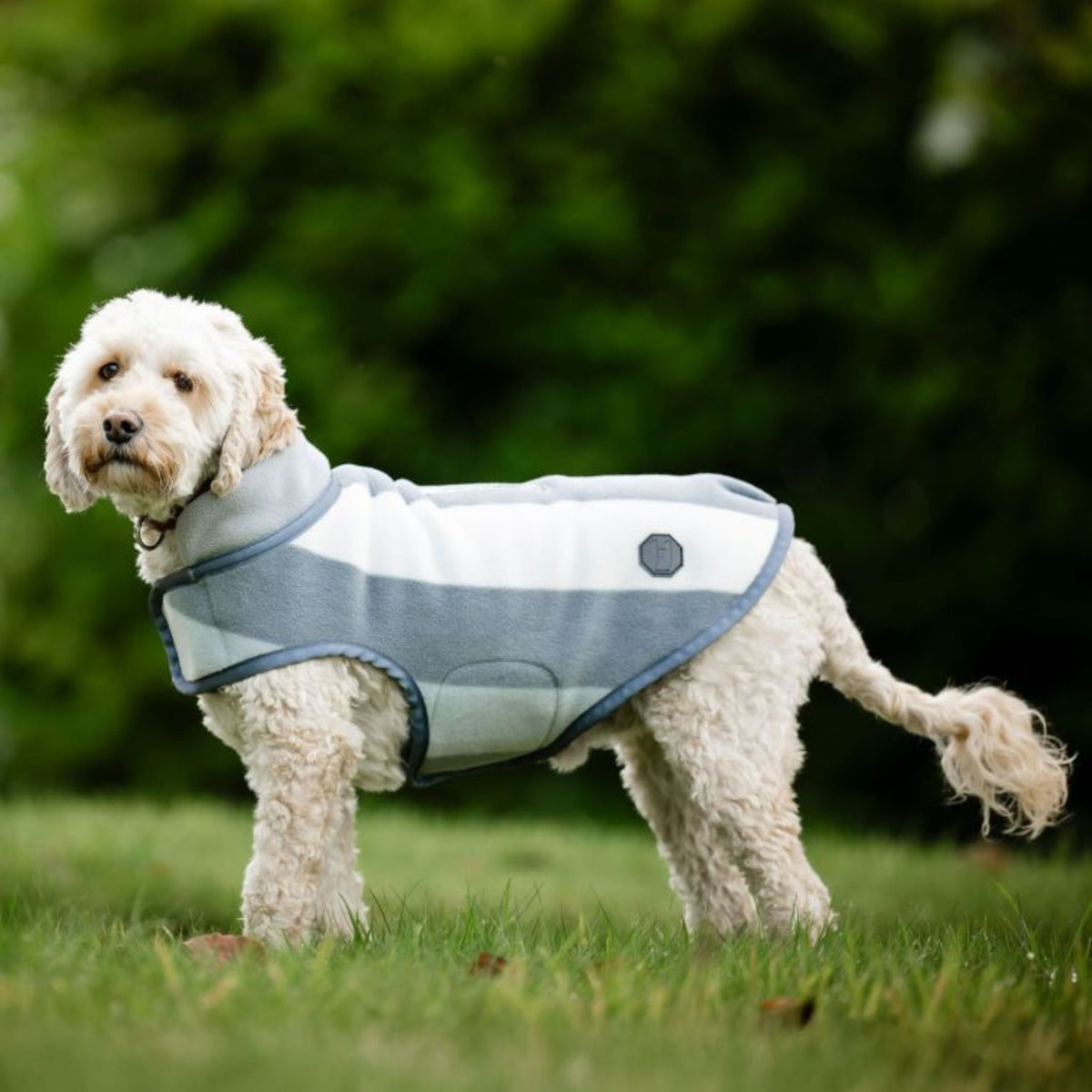 Horseware Newmarket Dog Fleece Coat with Witney Stripes in Charcoal