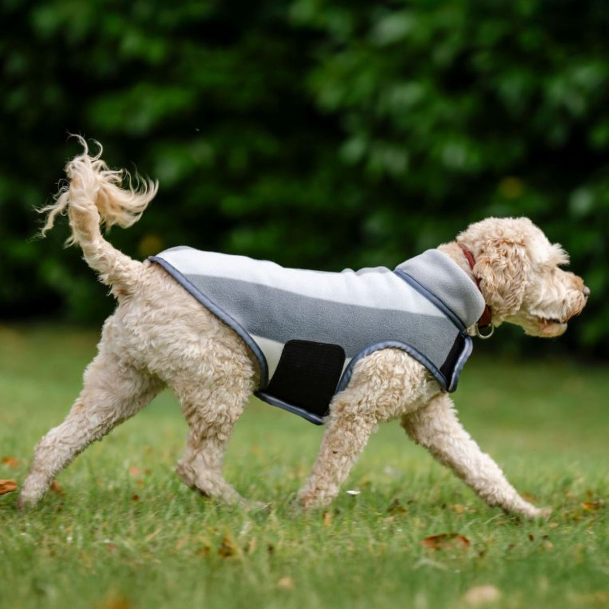 Horseware Newmarket Dog Fleece Coat with Witney Stripes in Charcoal