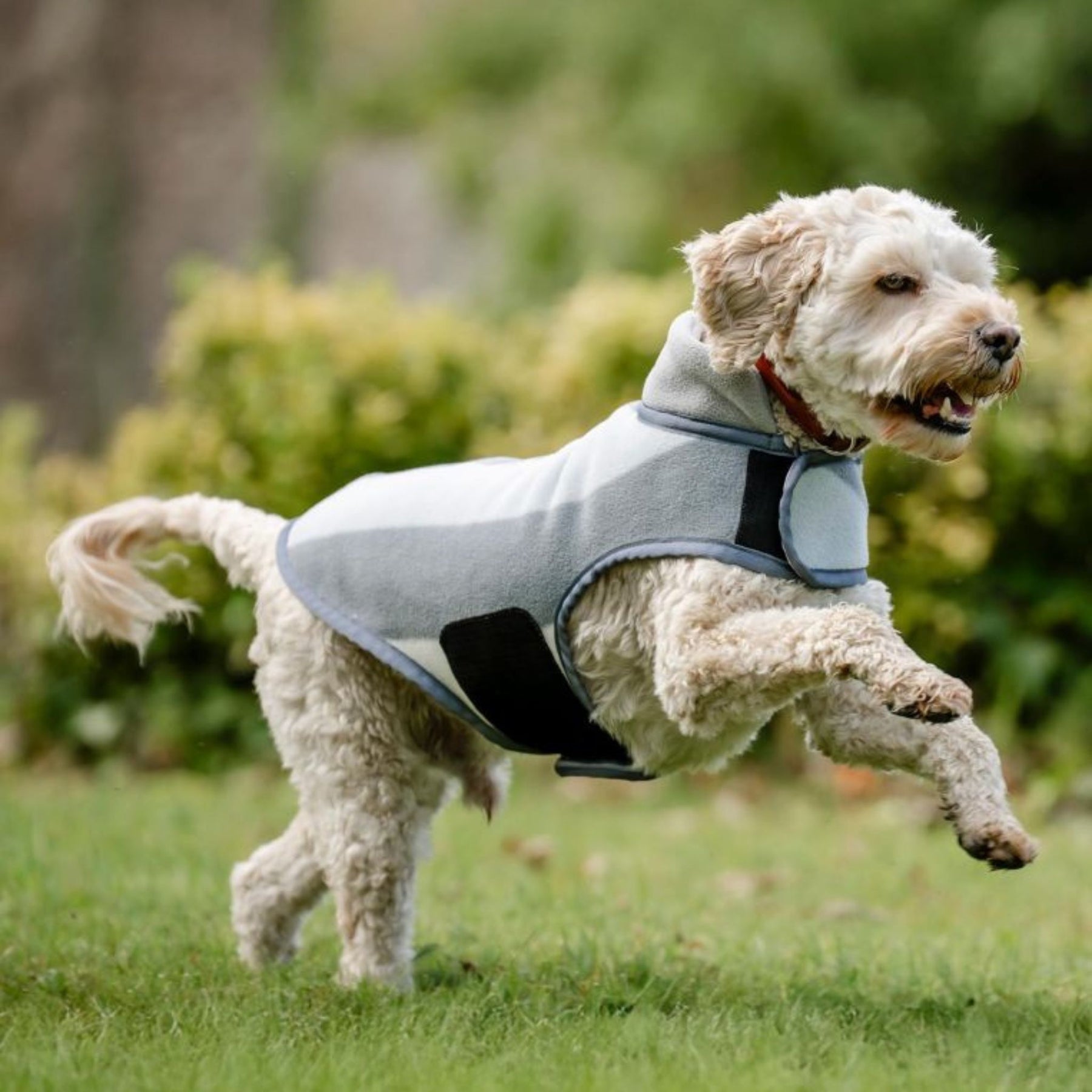 Horseware Newmarket Dog Fleece Coat with Witney Stripes in Charcoal