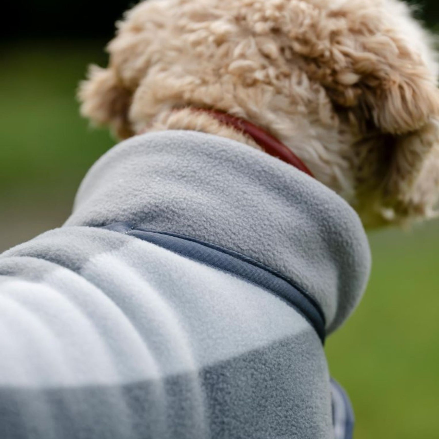 Horseware Newmarket Dog Fleece Coat with Witney Stripes in Charcoal
