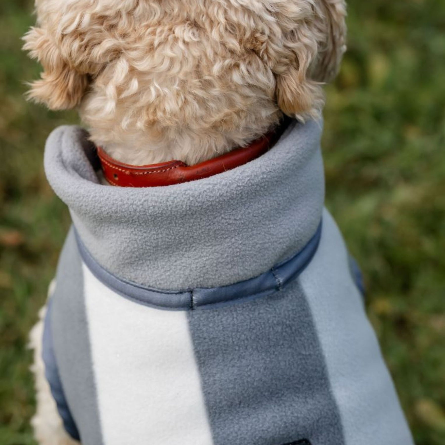 Horseware Newmarket Dog Fleece Coat with Witney Stripes in Charcoal