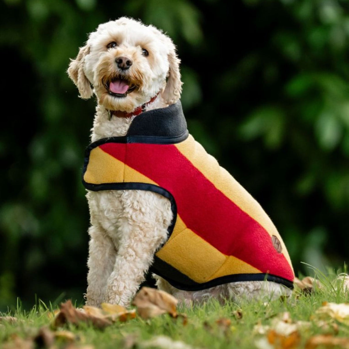 Horseware Newmarket Dog Fleece Coat with Witney Stripes in Gold, Red & Black