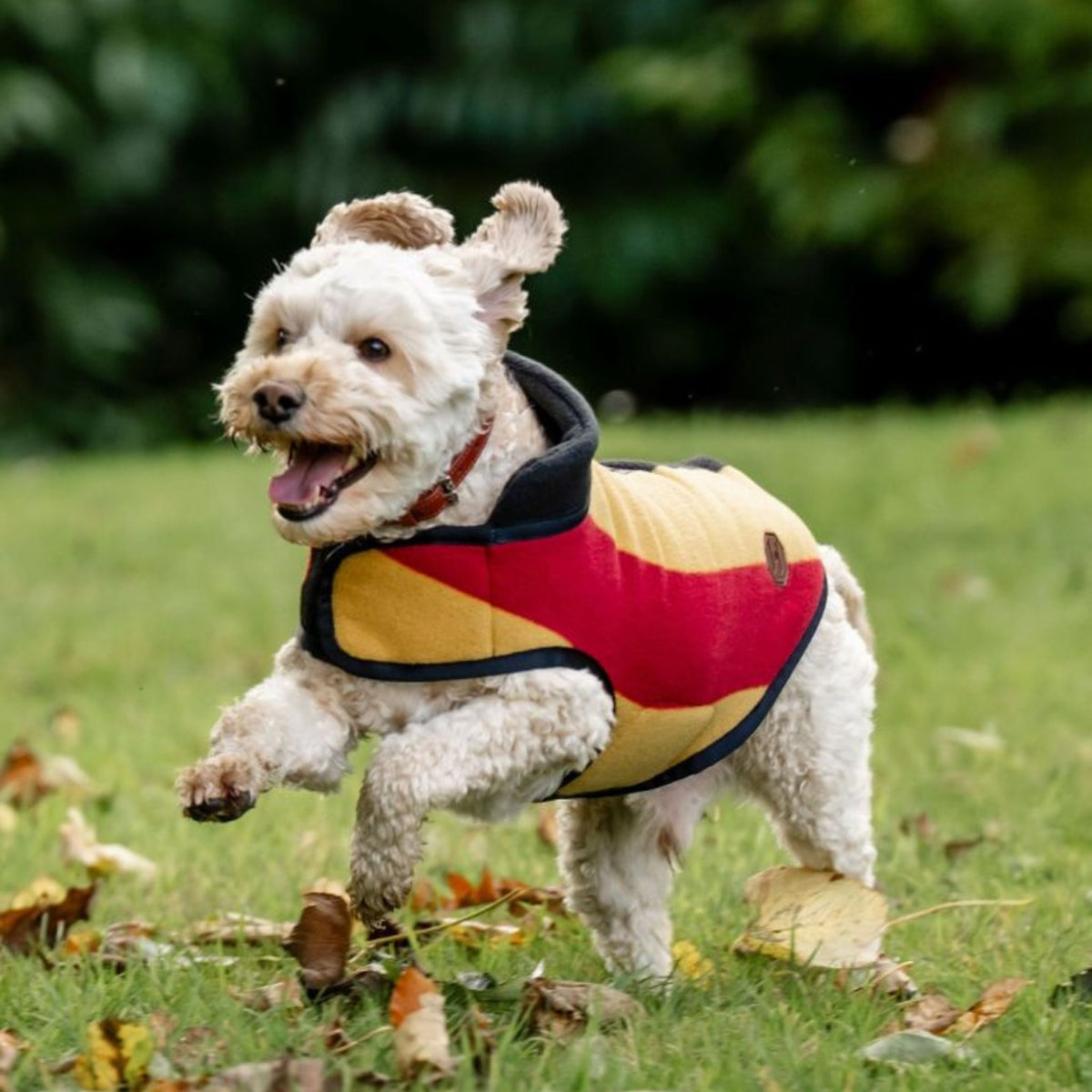 Horseware Newmarket Dog Fleece Coat with Witney Stripes in Gold, Red & Black