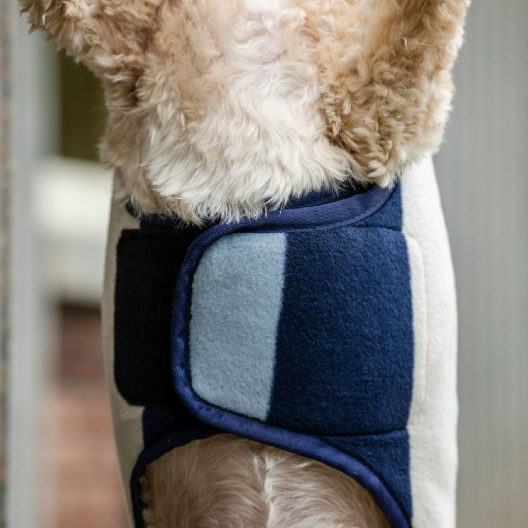 Horseware Newmarket Dog Fleece Coat with Witney Stripes in Navy