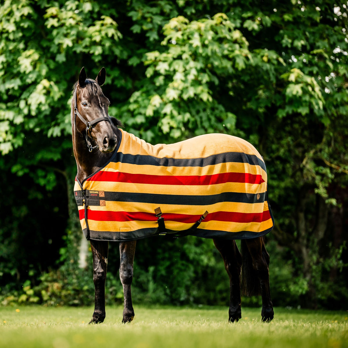 Horseware Newmarket Fleece Cooler in Whitney Gold