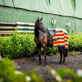 Horseware Newmarket Fleece Cooler in Whitney Gold