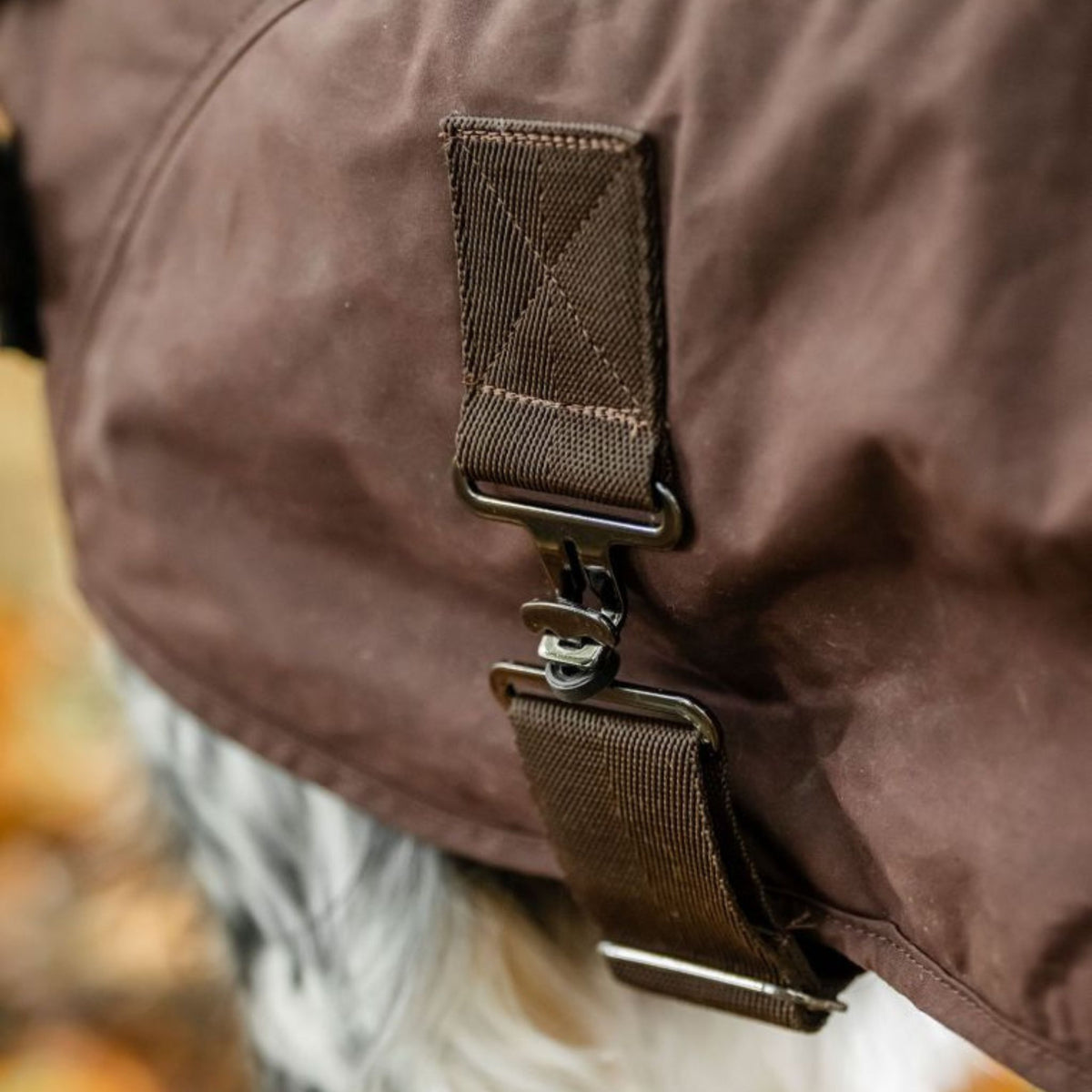 Horseware Newmarket Heritage Dog Coat in Brown
