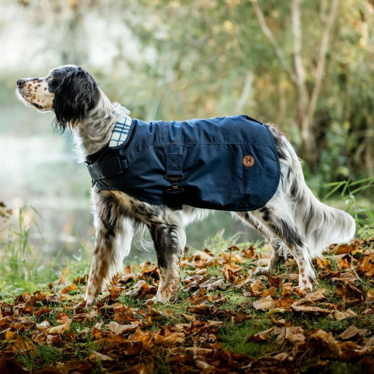 Horseware Newmarket Heritage Dog Coat in Navy