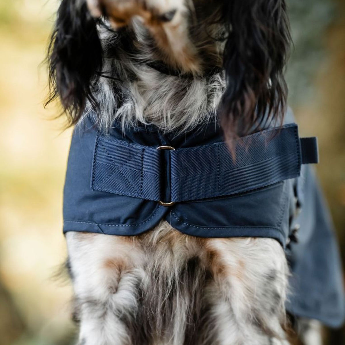 Horseware Newmarket Heritage Dog Coat in Navy